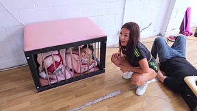 Pet Play and Farts!