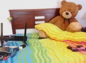 PityKitty_PK D.VA Stream