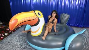 Nova Inflates Then Deflates Toucan HD (1920x1080)