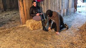 Trampling of the Rider