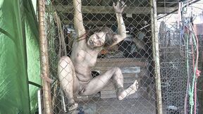 ”Wild Beast”
