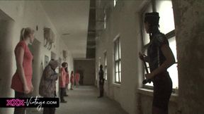 The Pleasure Cell