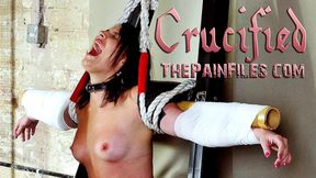 Painful Crucifixion