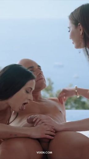 Blowjob Vixen Snip