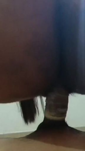 Landlord Son&amp;#039;s Affair - Malik Ke jawan Ladke ne Kaam wali bhabhi ko pichhe se dabocha fir apna lauda chusaya   Clip 2
