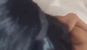 porno romanesc cu 3 fete care isi dau limbi