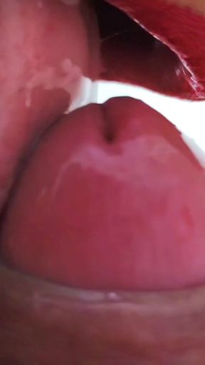 closup blowjob and cumshot   Clip 1