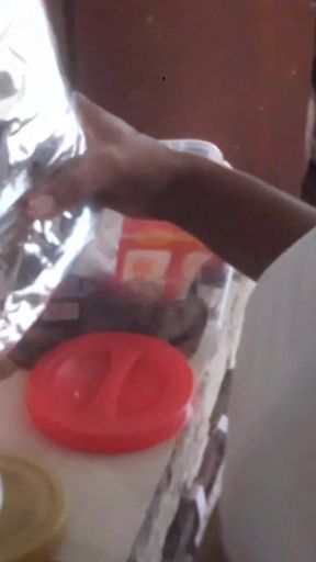My Maid on Cheeththa Dress Teases me whife is away.   Clip 1
