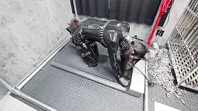 My Doggy Maid