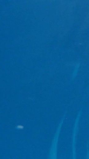 Unique Underwater Shots of Two Black Lesbians